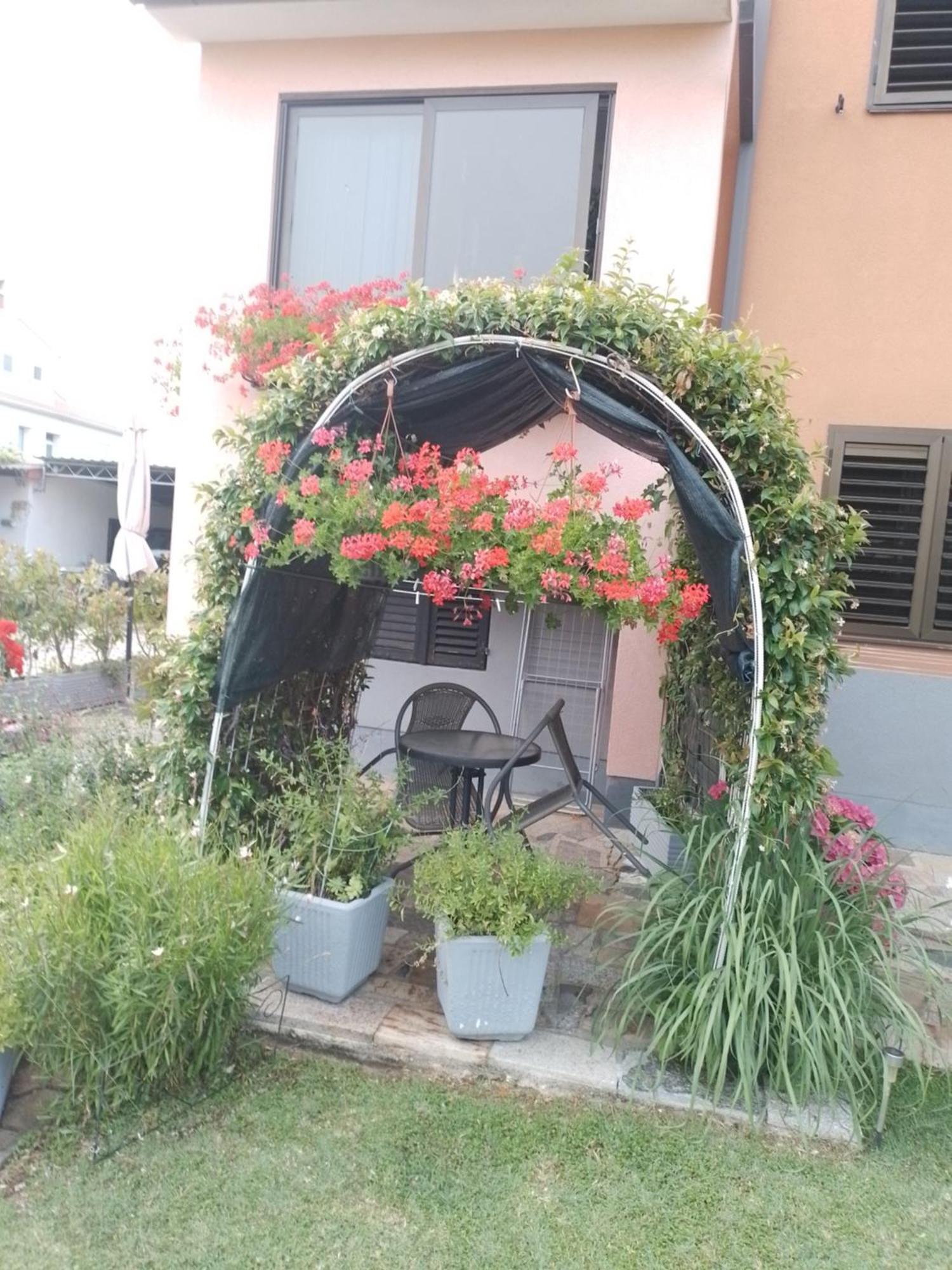 Apartman Olga Umag Exterior photo